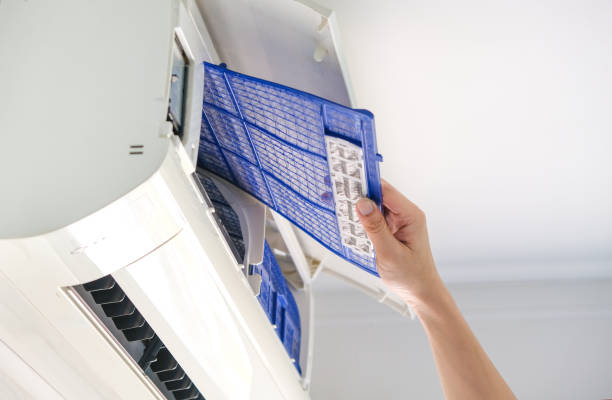 Best Affordable Duct Cleaning Services  in Thomasboro, IL